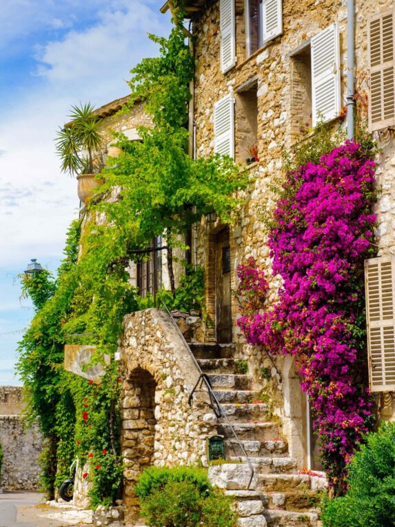 Maison en pierre typique de Saint-Paul-de-Vence ornée de fleurs violettes et de lierres 