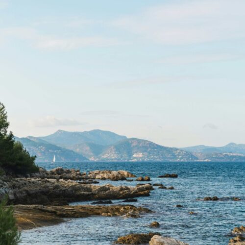 Ile de Lérins à Cannes, plage rocheuse avec des arbres, la mer et une vue sur les montagnes de l’arrière-pays.